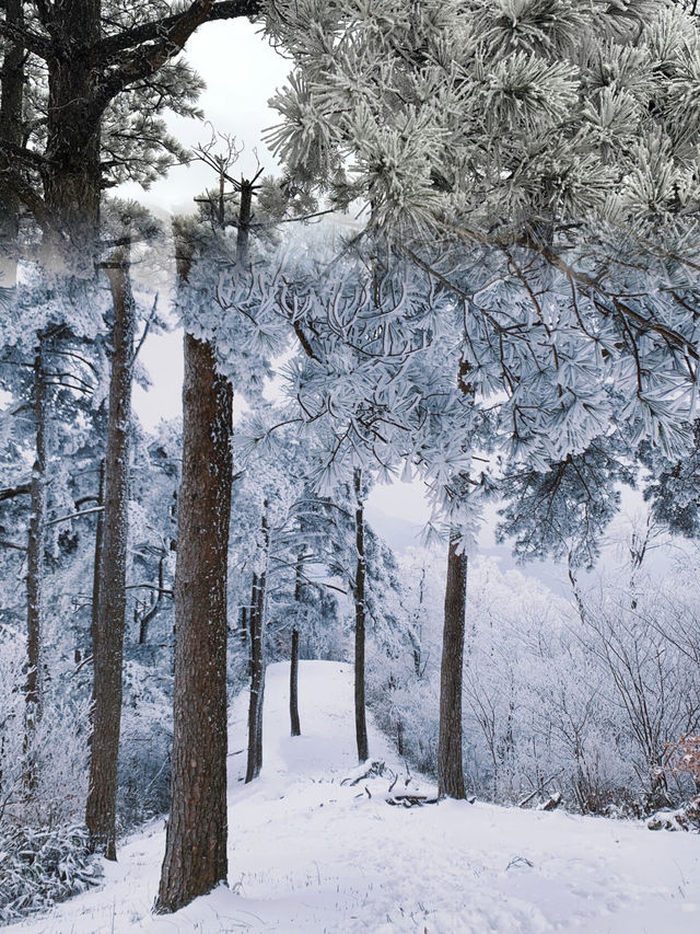 江浙滬初雪，徒步天堂的冰雪奇緣