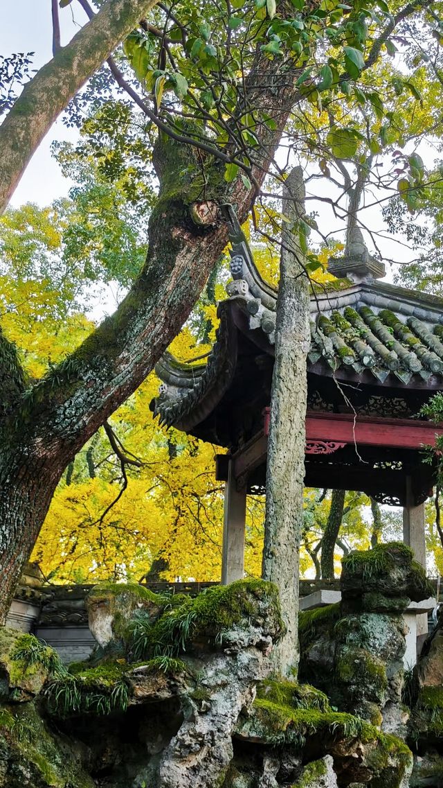 寧波天一閣博物館旅遊攻略，這篇就夠