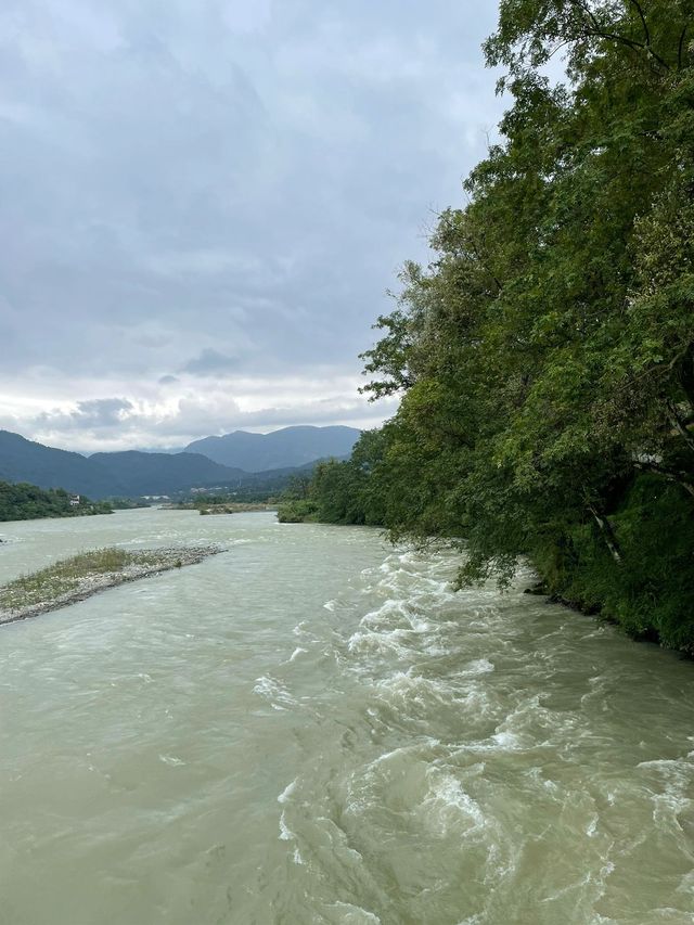 成都-九寨溝探秘之旅熊貓基地不可錯過的打卡點