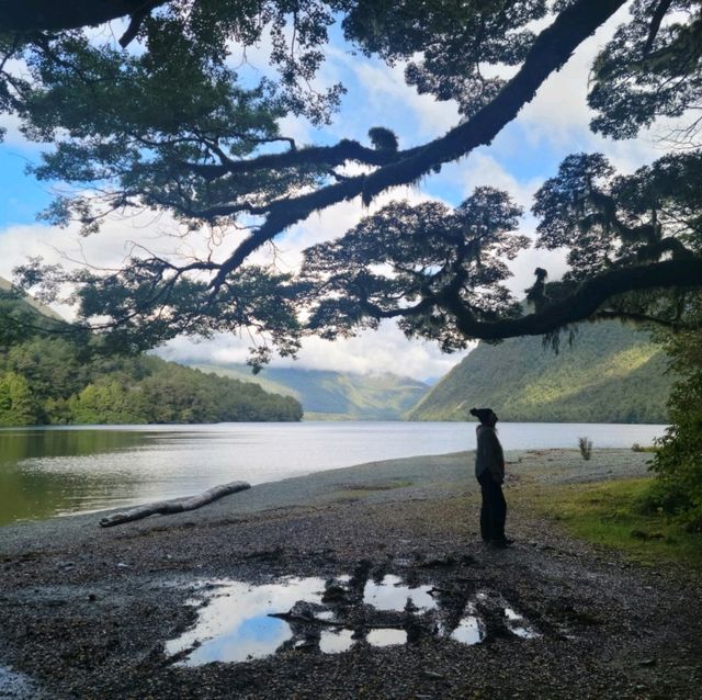 A Gem in New Zealand South Island 