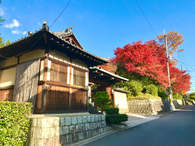 Japan’s most sacred mountain 🇯🇵