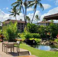 Island Oasis: Sheraton Kauai Resort Villas Exceeds Expectations