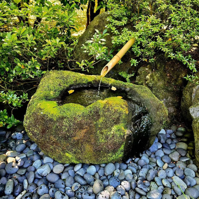 「興德院🏰禪意靜謐智慧」