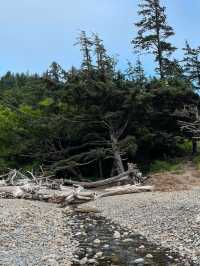 A Day in Ecola State Park 🌳 