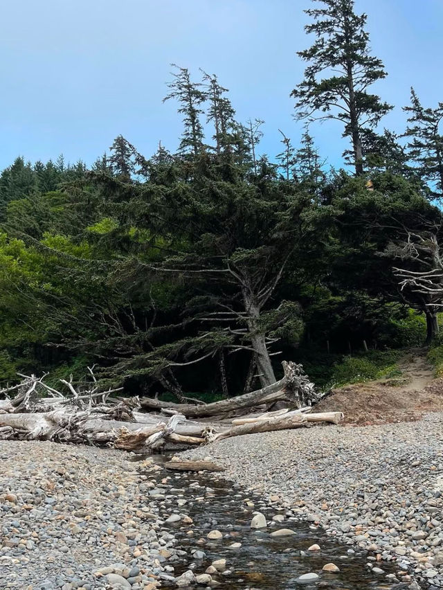 A Day in Ecola State Park 🌳 