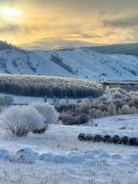 Hulunbuir Grassland in Winter: A Snowy Wonderland