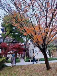 Cultural Gem in Suzhou