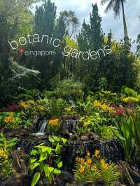 Watch Life Bloom at Singapore Botanic Gardens