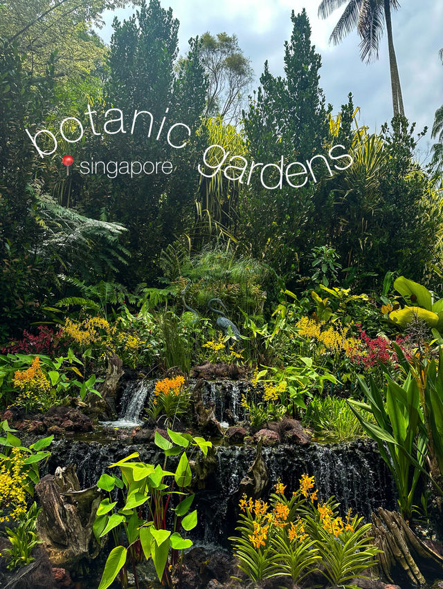 Watch Life Bloom at Singapore Botanic Gardens