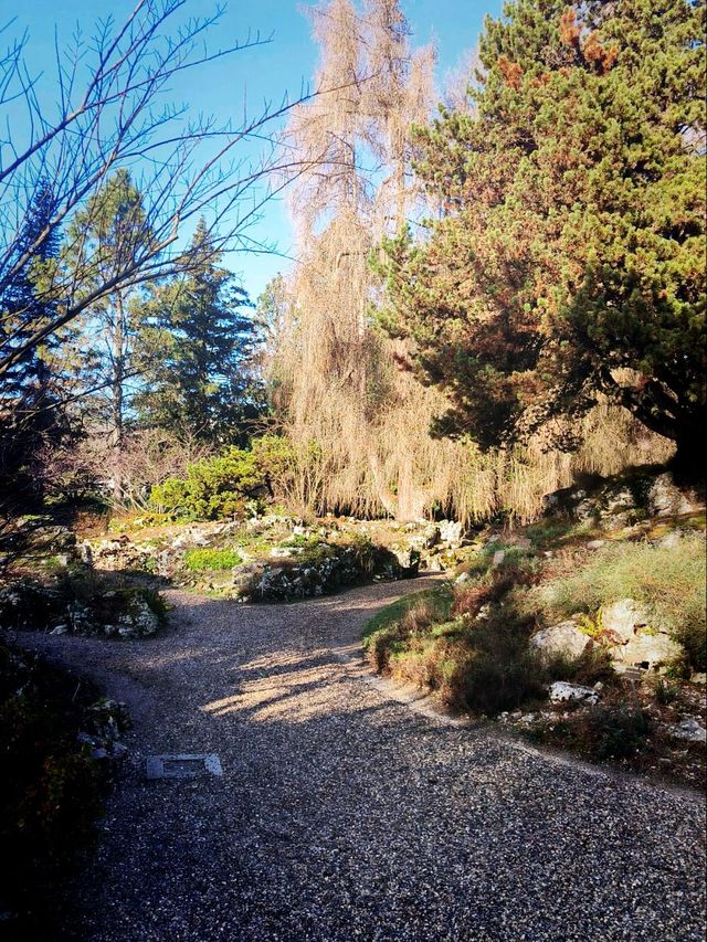 Discover the Winter Beauty of the Geneva Botanical Garden's Outdoor Oasis ❄️🌳