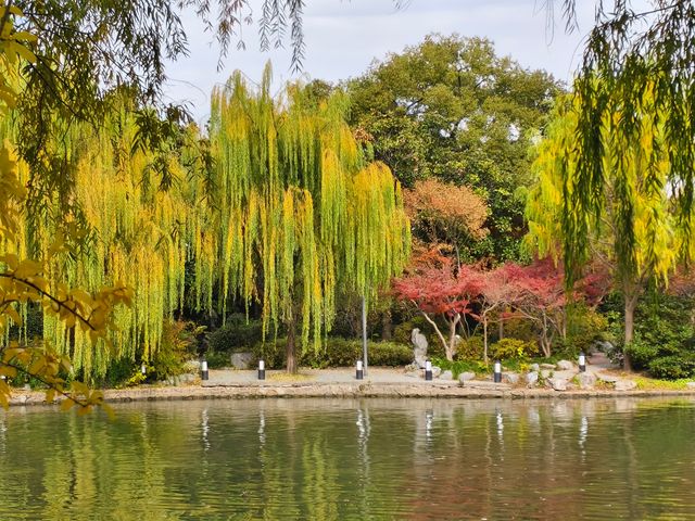 初冬的長風公園—五彩斑斕