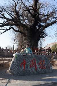 山西文旅給力，春節期間好多景點免費，第一站：大槐樹