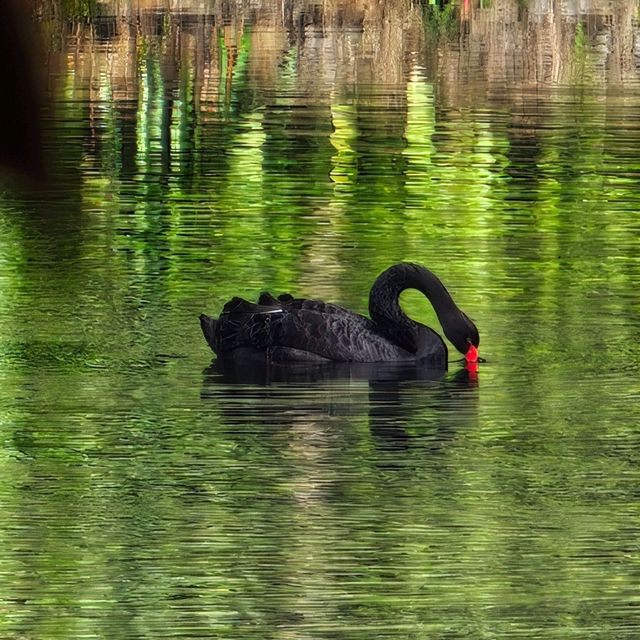 記住這裏❗️在廣州可以不花錢呆一天的公園