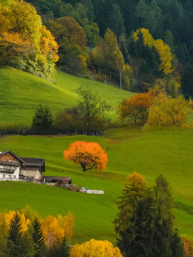 哇！Dolomiti 實在太美了！簡直就是我的夢中情地！