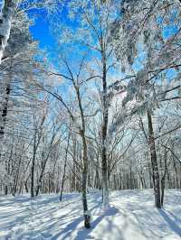 秋遊哈爾濱-雪鄉 一篇就讓你愛上。