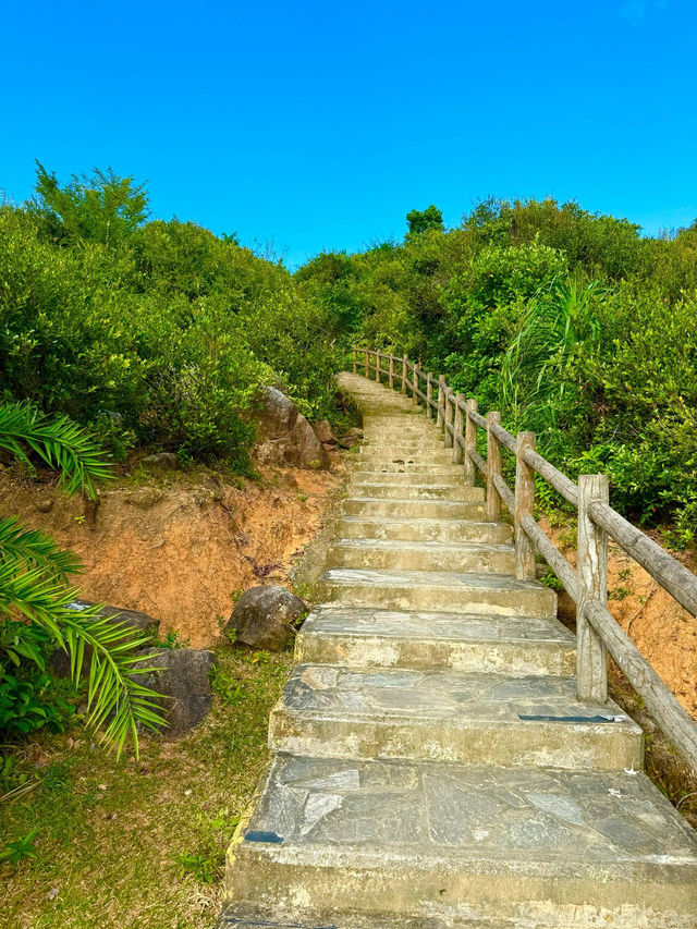 香港塔門島｜在漫畫的小島玩一天。