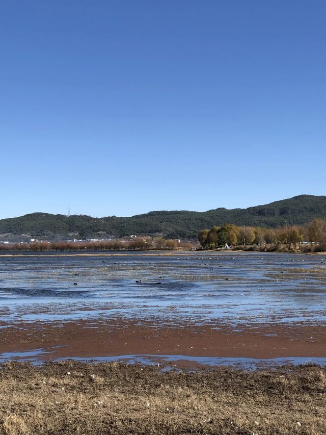 雲南麗江