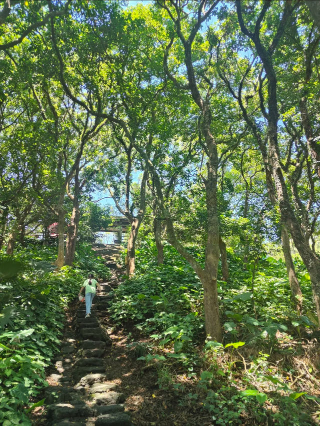 海口｜雷瓊火山地質公園，非常適合帶小朋友及輕度遠足