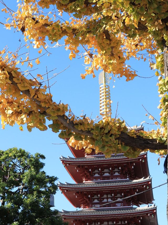 小長假去日本超美旅行攻略來啦