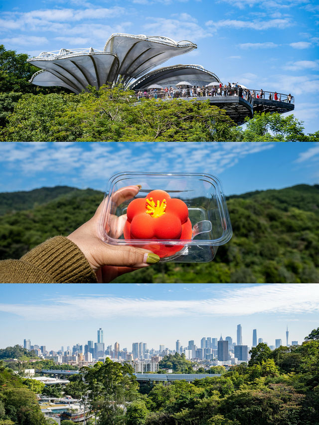 廣州 | 打卡白雲植系生活，解鎖自然密碼