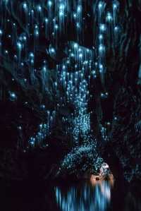 Discover the Enchanting Blue Glowworm Caves of Waitomo