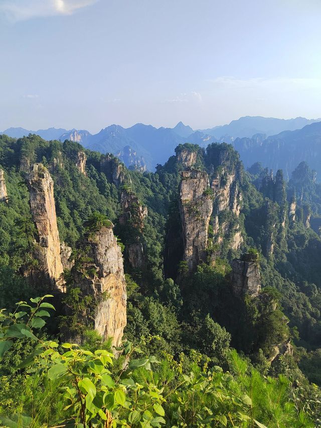 張家界2日遊 玩轉美景不踩雷