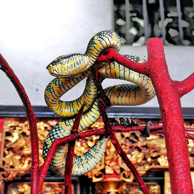 Amazing Snake Temple in Penang