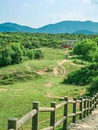 塔門島，母愛的夏日祭典