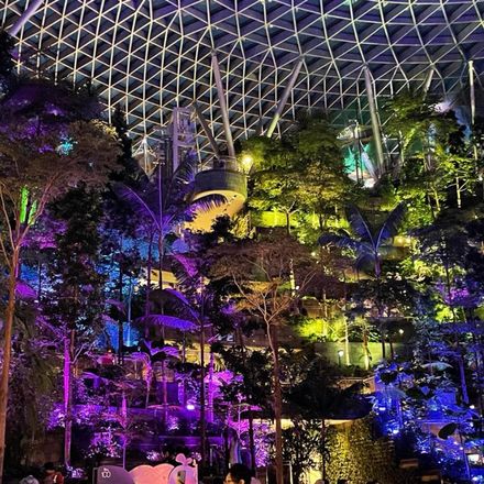 World's tallest indoor waterfall in Jewel Changi 🇸🇬