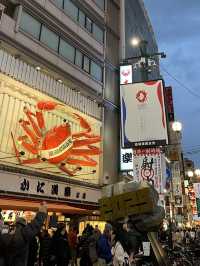 Savoring Osaka: A Street Food Adventure