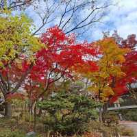 11中旬的首爾吉祥寺，令人平靜的寺廟