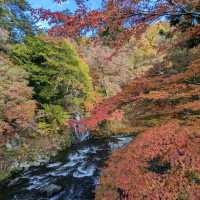 輕津之嵐山，移植自京都的紅葉名所：中野紅葉山