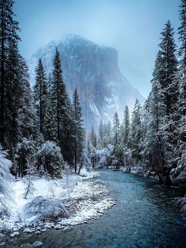 Yosemite National Park: A Snowy Christmas Wonderland