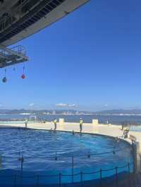 【福岡観光】マリンワールド海の中道：海と生き物が織りなす感動体験