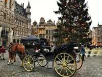 🇧🇪The Grand palace in Brussels🇧🇪🎄🥰