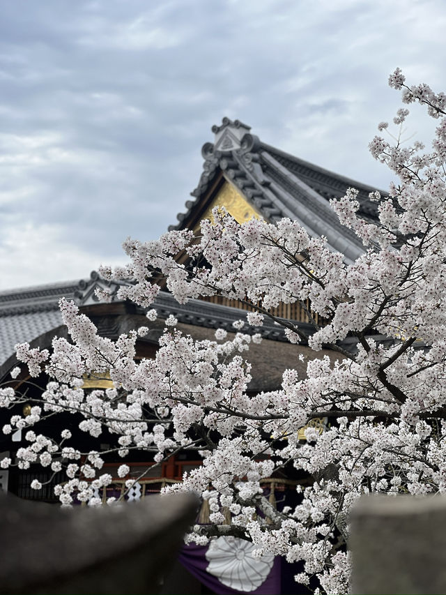 Exploring the Majestic Fushimi Inari Shrine