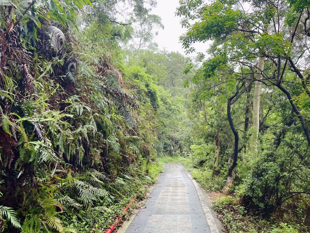 珠海鬥門黃楊八景——人文與自然的和諧美景