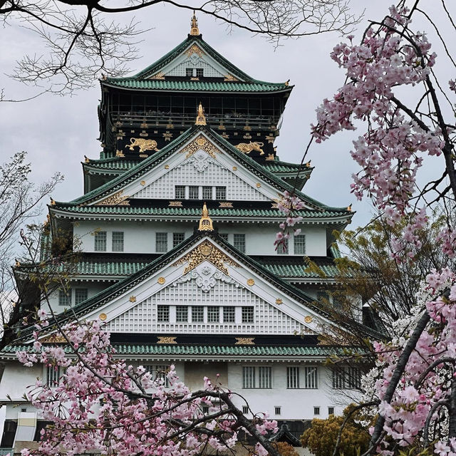 Osaka is stunning 🇯🇵