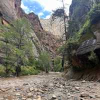 A riverside walk at Zion 