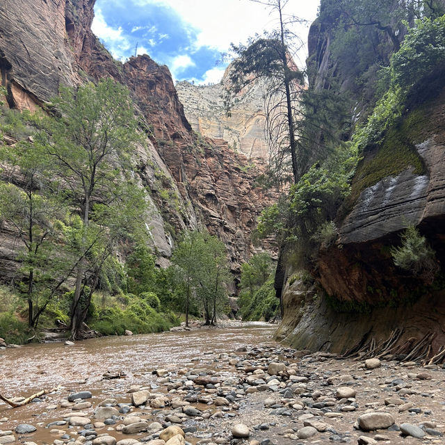 A riverside walk at Zion 