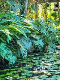 動物園你去過，那植物園你來過嗎？。