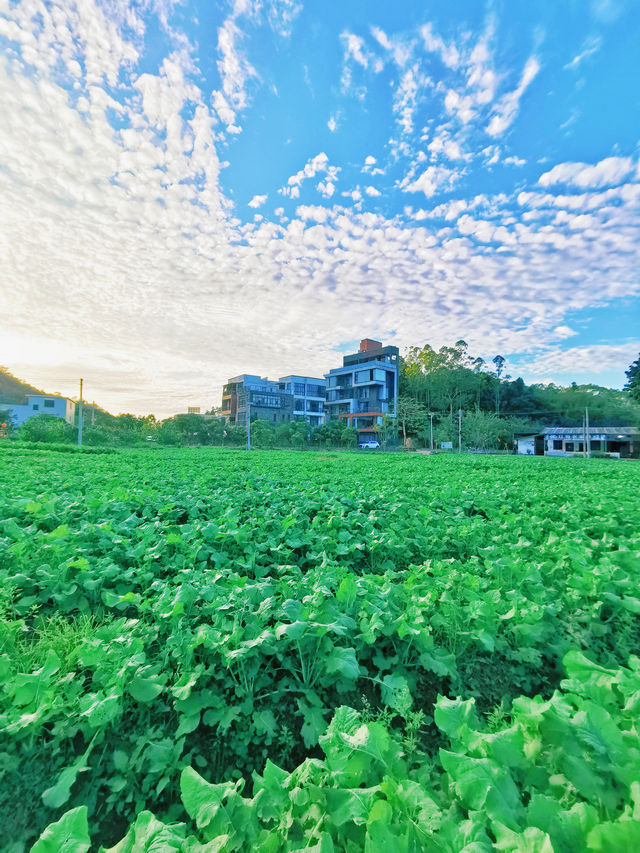 惠州湯泉民宿食住玩一站式搞掂