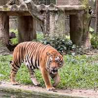 馬來西亞國家動物園