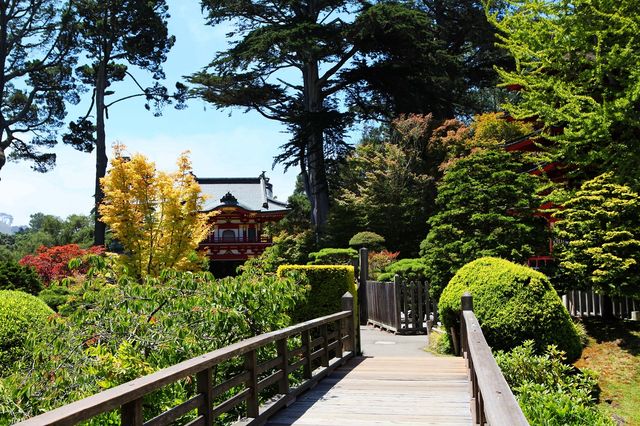 禪意流轉：舊金山日本茶園的寧靜之美