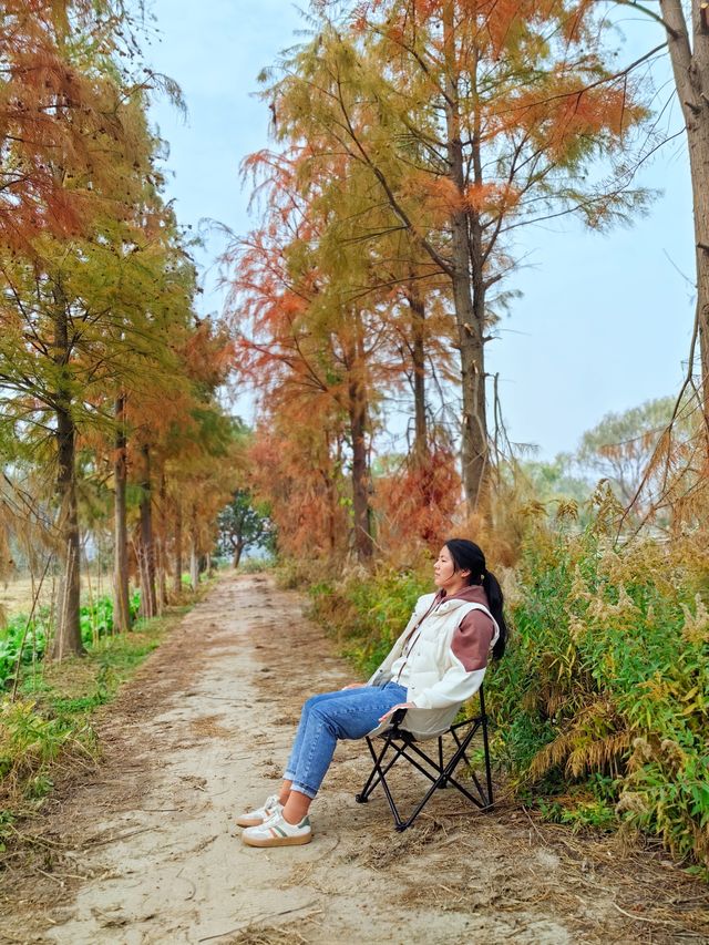 12.7青西郊野公園實景，說說真實感受