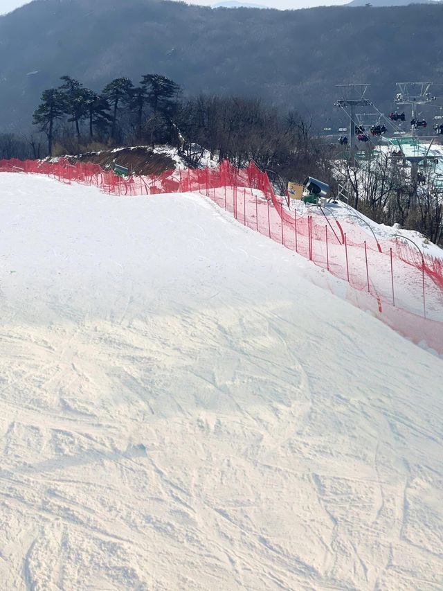 後勁太大了！闖入冰雪裏的童話世界