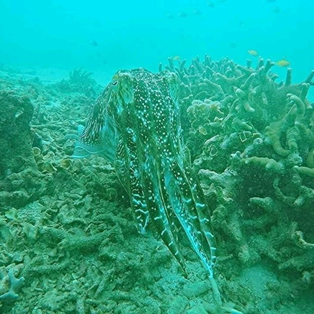 Crystal Waters, Tioman, Malaysia