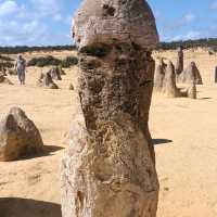 Pinnacles of Western Australia 