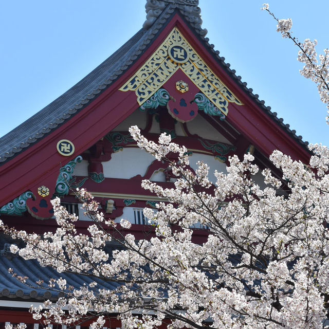 Sakura in Love Tokyo