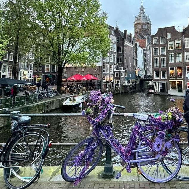 Enchanted by Amsterdam's Charm